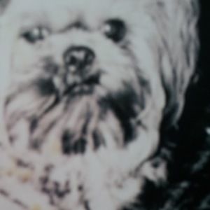 Meet your Posher, Jarika